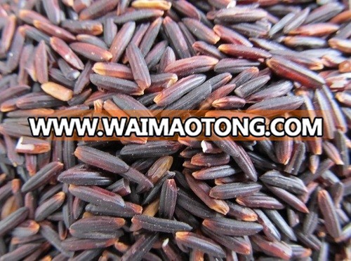 Nutritious Black Rice Diabetic Rice