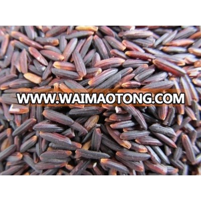 Nutritious Black Rice Diabetic Rice