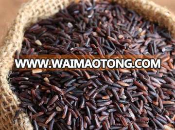 Nutritious Black Rice