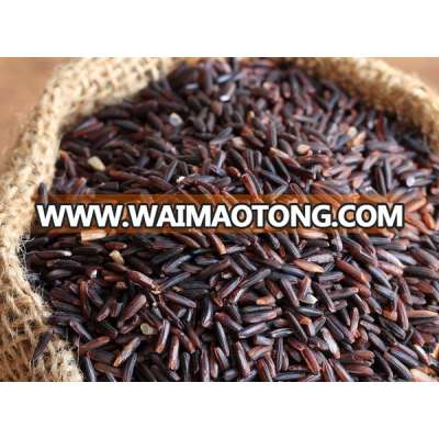 Nutritious Black Rice